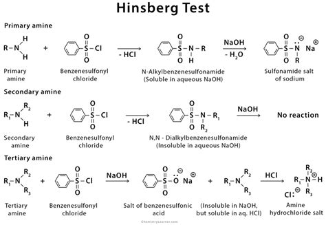 hinsberg test|Iba pa.